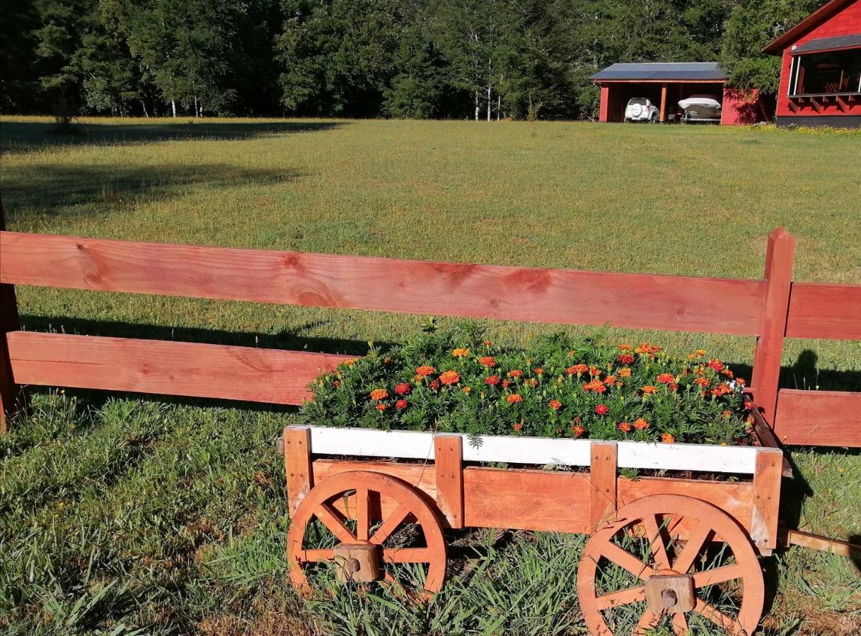 Cabanas Los Canelos Hermosa Granja En Pucón Eksteriør billede