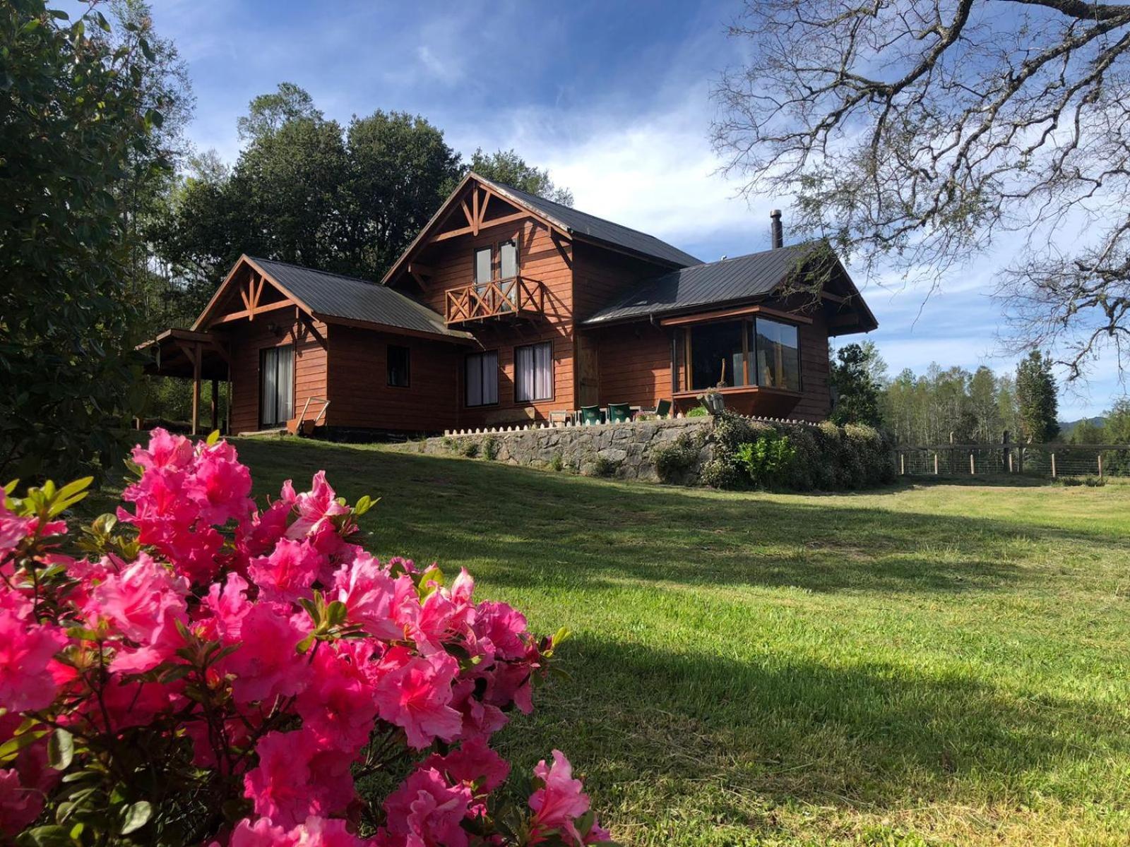 Cabanas Los Canelos Hermosa Granja En Pucón Eksteriør billede
