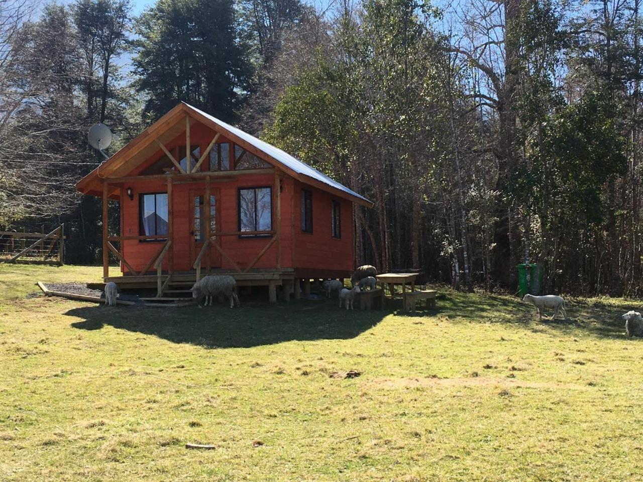 Cabanas Los Canelos Hermosa Granja En Pucón Eksteriør billede