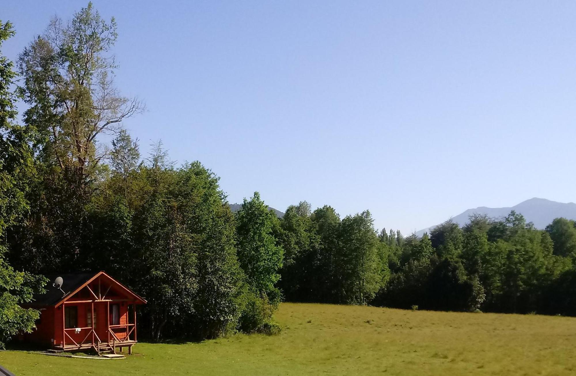 Cabanas Los Canelos Hermosa Granja En Pucón Eksteriør billede
